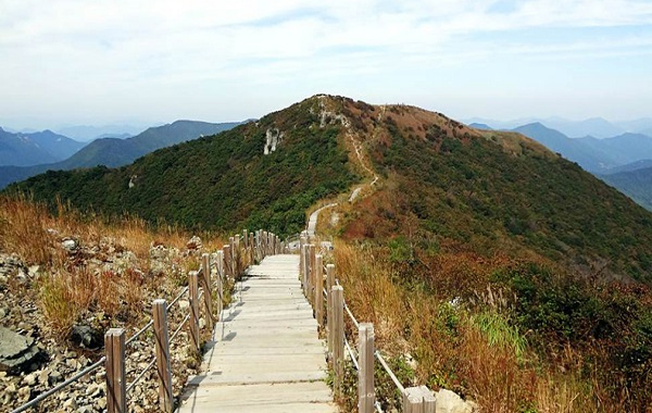 고헌산